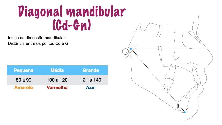 Cd-Gn - cefalometria